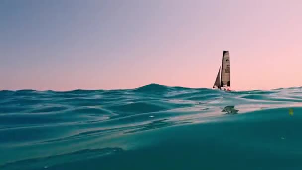 Extreme Lage Hoek Zee Level Oogpunt Van Kleine Zeilboot Zeilen — Stockvideo