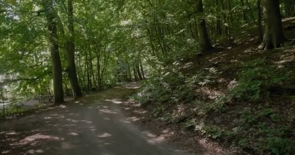 Pequena Estrada Pebble Hill Gyllebo Floresta Exótica Sul Suécia Esterlen — Vídeo de Stock