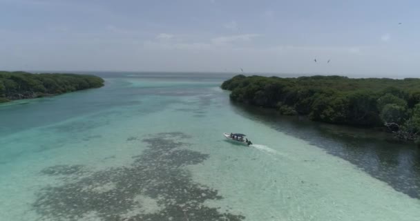 Barco Pesca Vela Com Turista Floresta Mangue Drone Cima Parque — Vídeo de Stock