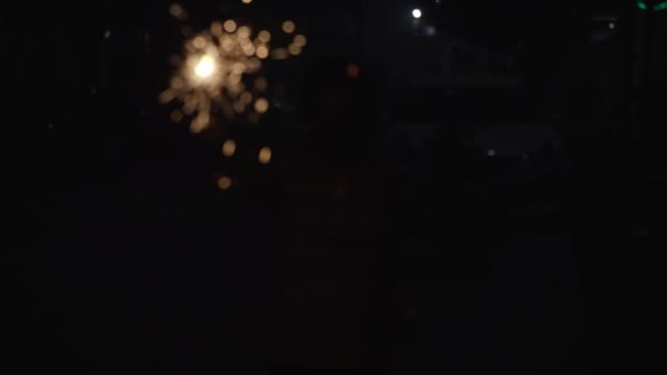Hindistan Halkının Diwali Festivali Nde Eğlenirken Arka Planda Dönen Parlak — Stok video