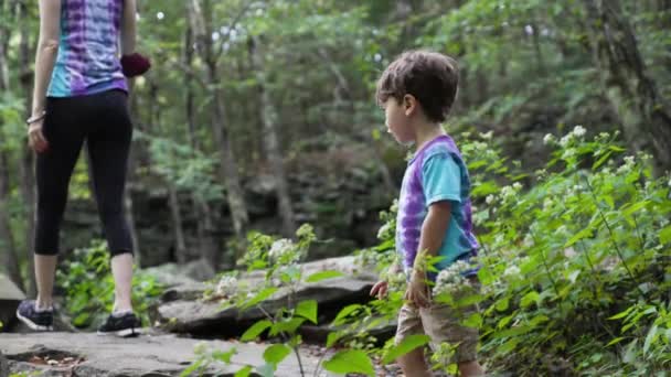 Front View Boy His Mom Walk Rocky Forest — Stock Video