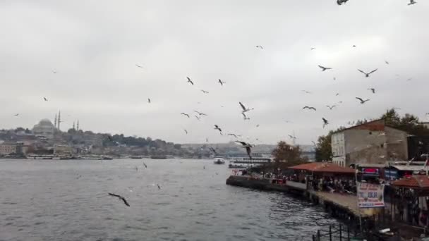 Přístavní Scenérie Istanbulu Fisherem Mostě Galata Racky — Stock video