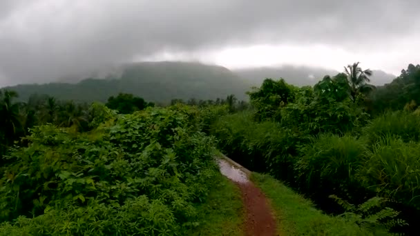 Keri Sattari Broen Monsunen Kraftig Regn Vakker Fotbro Goas Natur – stockvideo