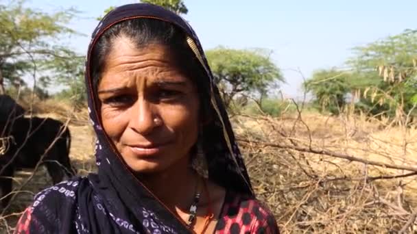 Auténtico Retrato Mano Campesina India Aldea Rural Rajastán Con Animales — Vídeo de stock