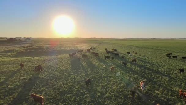 Imágenes Aéreas Volando Hacia Atrás Sol Brillante Sobre Horizonte Revelando — Vídeos de Stock