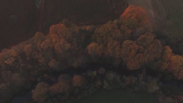 Barevné Stromy Větrná Řeka Podzimním Večeru Naklápěcí Sklon Vznášedla — Stock video