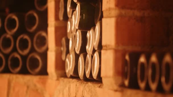 ワイン農場の古いセラーでのワインコレクションの映画的な傾きのショット — ストック動画