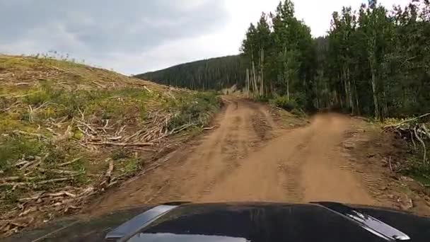 Dotarcie Miejsca Wyrębu Podczas Jazdy Polną Drogą Leśną Strzał Pov — Wideo stockowe