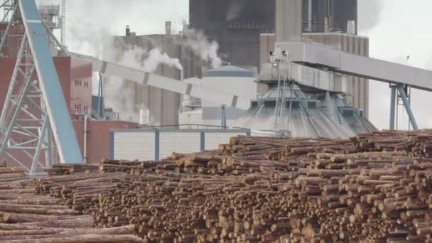 Tilt 1000S Tiges Arbres Attendent Entrer Dans Usine Polluante Derrière — Video