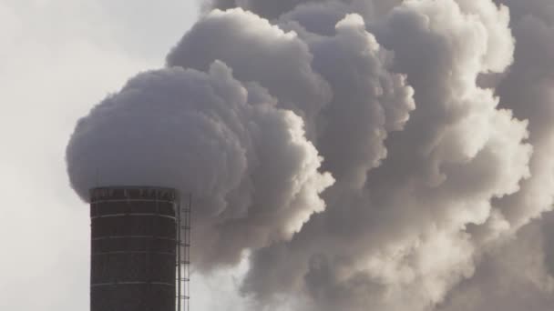 産業用煙突からの厚い渦巻く煙のパンニングEpicショット — ストック動画