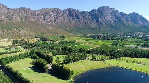 Schöne Kapstadt Luftaufnahmen Vom Tafelberg Und Grünen Bäumen Mit Wasserfontäne — Stockvideo