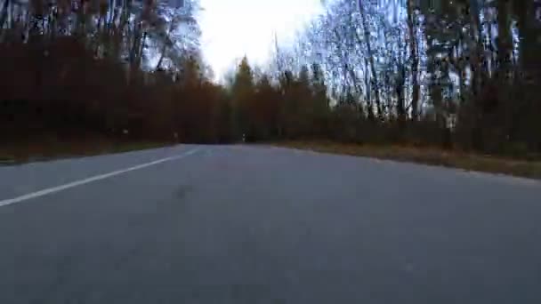 Hiperlapso Conducir Rápido Por Una Carretera Con Curvas Bosque Otoñal — Vídeos de Stock