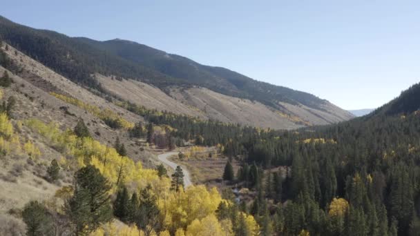 Drone Záběry Stromů Aspens Měnící Barvu Pádu Cottonwood Pass Colorado — Stock video
