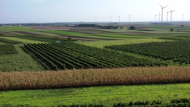 Breed Dolly Schot Van Een Drone Boven Het Landbouwlandschap — Stockvideo