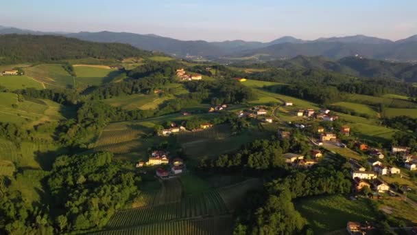 Flygfoto Med Utsikt Över Solnedgången Upplysta Gårdar Och Vingårdar Landsbygden — Stockvideo