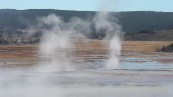 Steam Geysers Hydrothermal Natural Pools Yellowstone National Park Wyoming Usa — Αρχείο Βίντεο