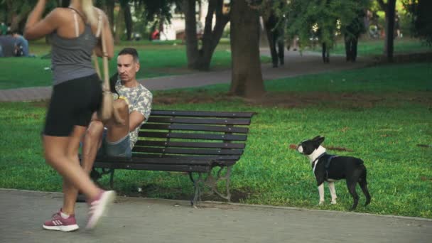 Hombre Con Móvil Sentado Banco Del Parque Perro Terrier Boston — Vídeo de stock