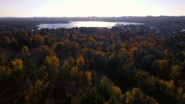 マッケゴンの州立公園近くのブラックレイクとは対照的に秋の色 — ストック動画