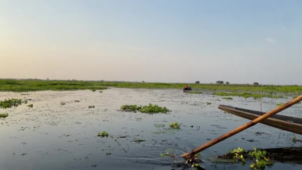 船夫用竹桨在班加西博尔兹比尔的沼泽地中驾驶木船 日落时沼泽地的美丽景色 — 图库视频影像