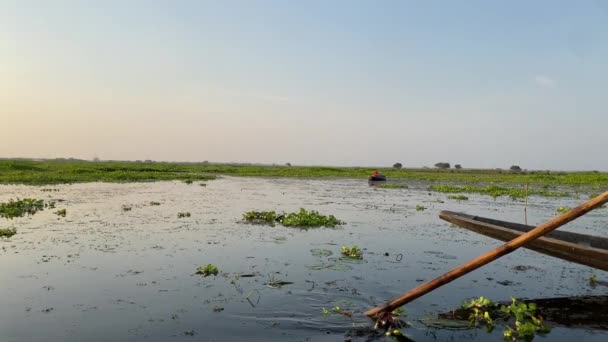 Boat Man Uses Bamboo Oar Sail Wooden Boat Marshland Bortirbil — Stock Video