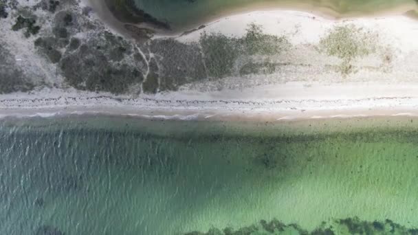 Tomma Stranden Med Klarblått Hav Solig Dag Edgartown Massachusetts Usa — Stockvideo