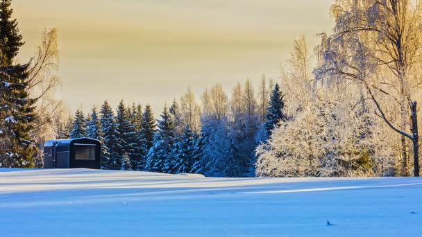 Idylliczny Zdalny Domek Przygodowy Zimowym Krajobrazie Złotą Godziną Światła Słonecznego — Wideo stockowe