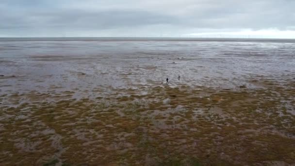 在一个闷闷不乐的海滩上边走边遛狗 — 图库视频影像