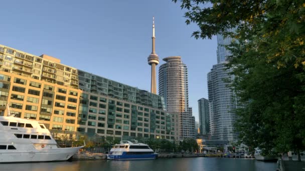 Yachts Dock Marina High Rise Buildings Famous Tower Toronto Canada — Stock video