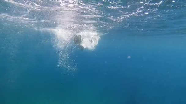 View Snorkeler Swimming Benunder Sea Surface Kefalonia Island Greece Podvodní — Stock video