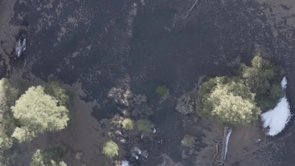 Nad Jałowymi Odpadami Pola Lawy Wulkanie Sunset Crater Pomnik Narodowy — Wideo stockowe