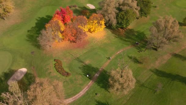 Golf Sahasında Insanlar Sonbahar Sezonunda Pislik Içinde Deliğe Doğru Yürüyorlar — Stok video