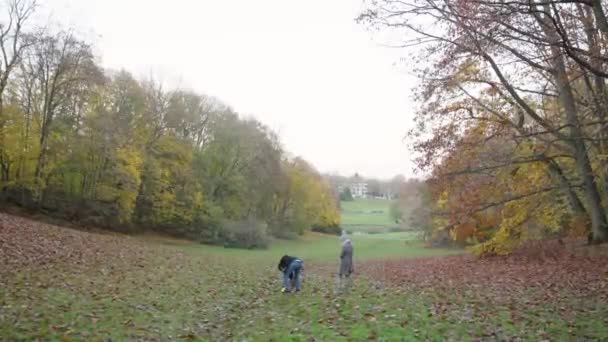 犬は美しい秋の公園で男の子と女の子に投げられたフリスビーを手に入れます クローズアップ — ストック動画