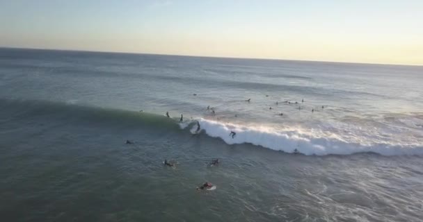 Siguiendo Surfista Mientras Monta Ola — Vídeo de stock