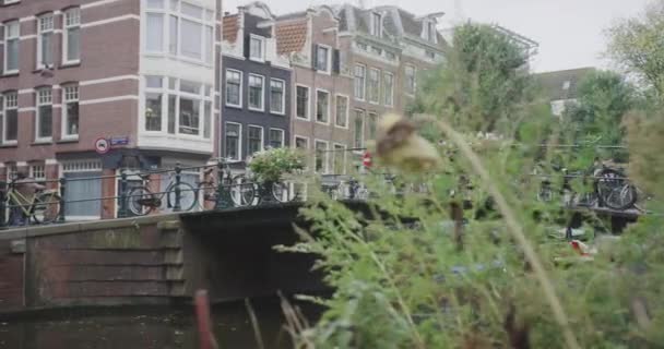 アムステルダムオランダ 花と運河橋ジンバルショット — ストック動画
