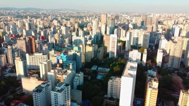 Sao Paulo City Kaotisk Skyline Brasil Eksempel Urban Verticalisering Tettbebyggelse – stockvideo