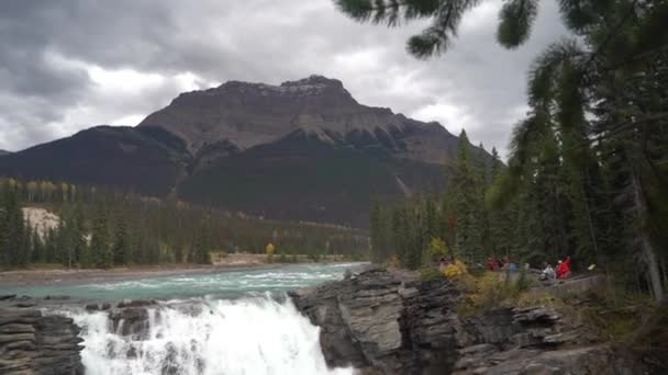 Athabasca Falls Jasper National Park Alberta Kanada Malerische Wasserfälle Und — Stockvideo