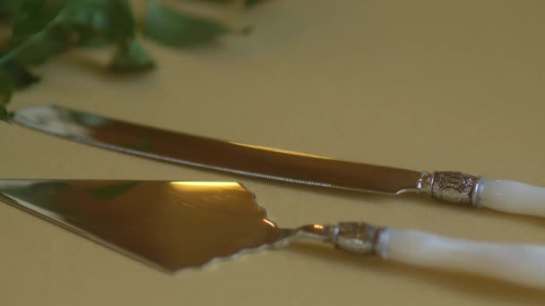 Bıçak Sunucu Düğün Pastası Servis Seti — Stok video