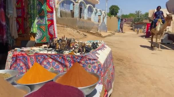 Camello Africano Egipcio Nubian Village Frente Una Colorida Tienda Especias — Vídeos de Stock