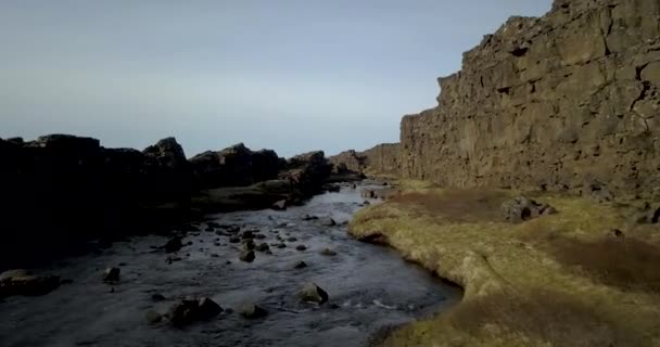 Oxara River Στο Εθνικό Πάρκο Thingvellir Ισλανδία Εναέρια — Αρχείο Βίντεο