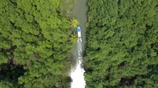 Top Tiro Aereo Rintracciare Una Barca Fiume Nelle Foreste Pluviali — Video Stock
