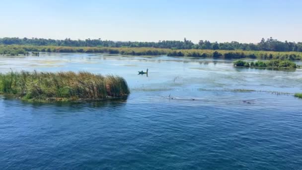 Nijlvissers Vissen Terwijl Vogels Egypte Vliegen Begrippen Meren Visserij Vrijetijdsbesteding — Stockvideo