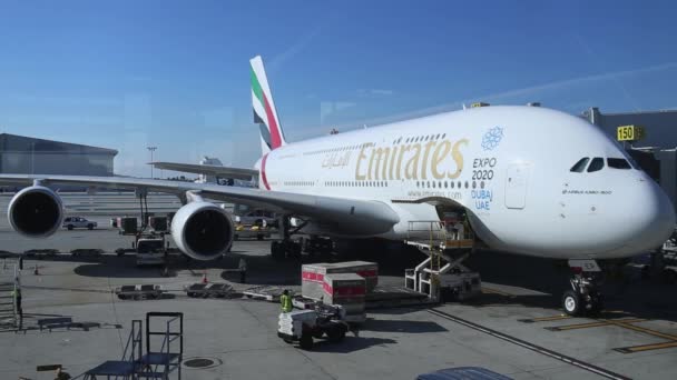 Loading Luggage Plane Male Workers Load Passenger Luggage