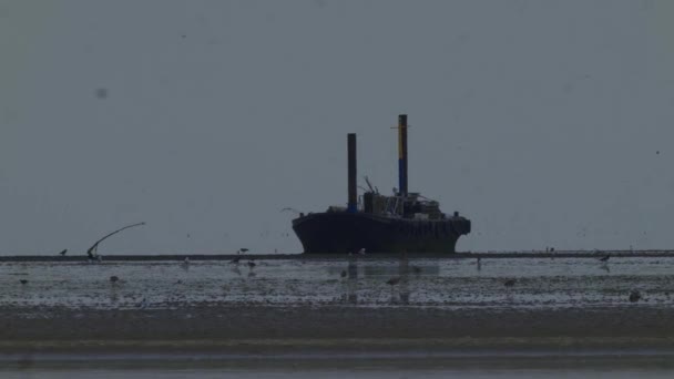 砂の海岸を歩いてカモメの鳥と漁船のショットを確立 テキサス州で曇り灰色の日 オランダ — ストック動画