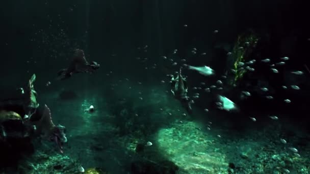 Futurystyczna Koncepcja Kosmitów Podziemnej Wodzie Obcy Atakują Ryby Pod Oceanem — Wideo stockowe