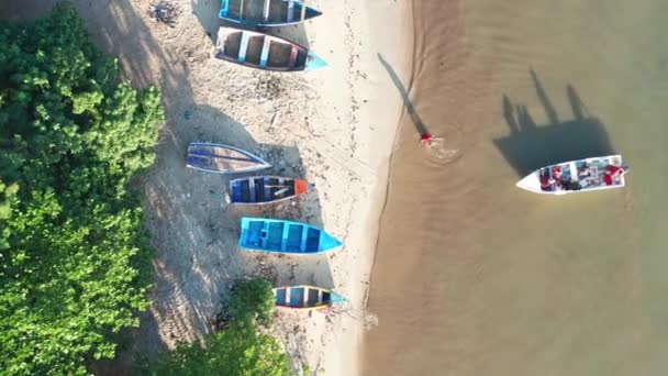 Overhead Drone Shot Fishermen Launching Boat Beach Fishing Caribbean — Stock Video