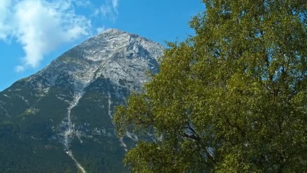 Patrząc Piękną Górę Drzewo Słoneczny Dzień Austrii — Wideo stockowe