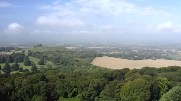 イギリスの田舎の森と畑の間の空中射撃パンニング — ストック動画