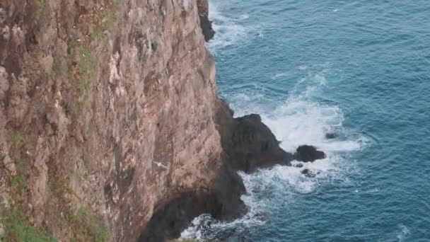 グリムジー島の断崖絶壁の高い角度の眺め 海の波の上にカモメが舞い上がる — ストック動画