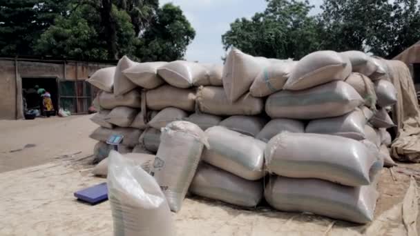 Sacos Arroz Não Processado São Empilhados Pelas Balanças Serem Pesadas — Vídeo de Stock