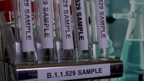 Close Dolly Shot Medical Test Tubes Labelled Samples New Omicron — Stock Video